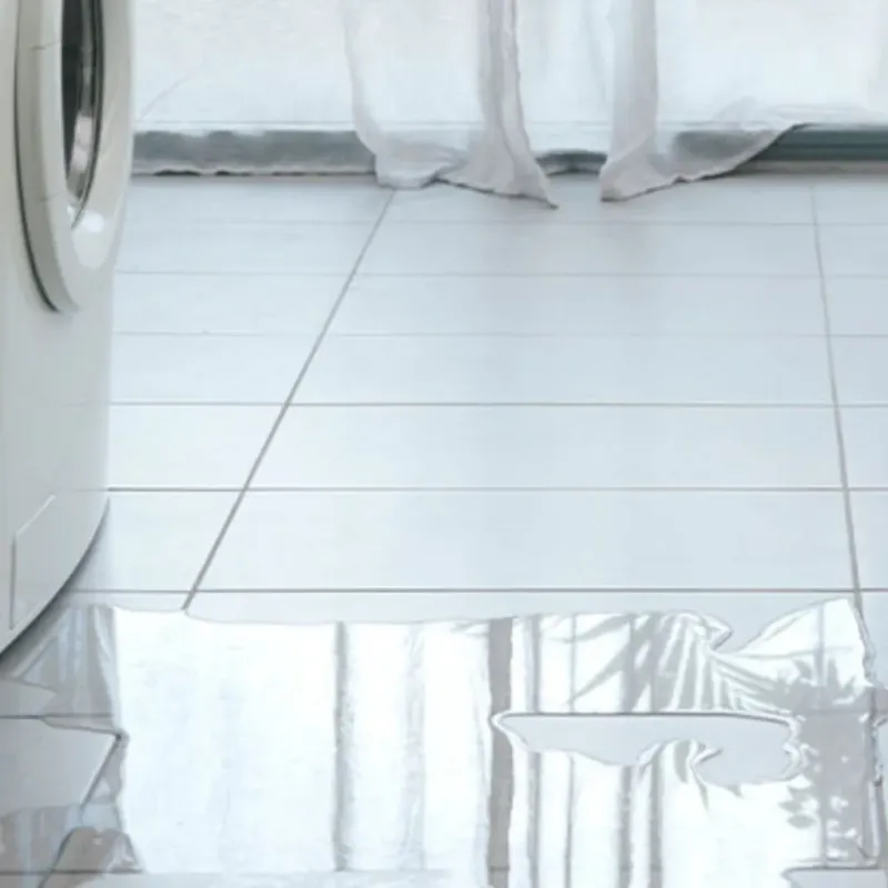 Appliance Leak Cleanup in King City, MO