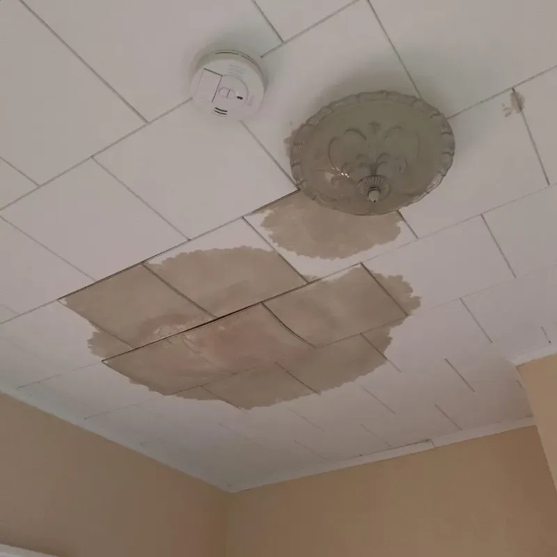 Ceiling Water Damage Repair in King City, MO