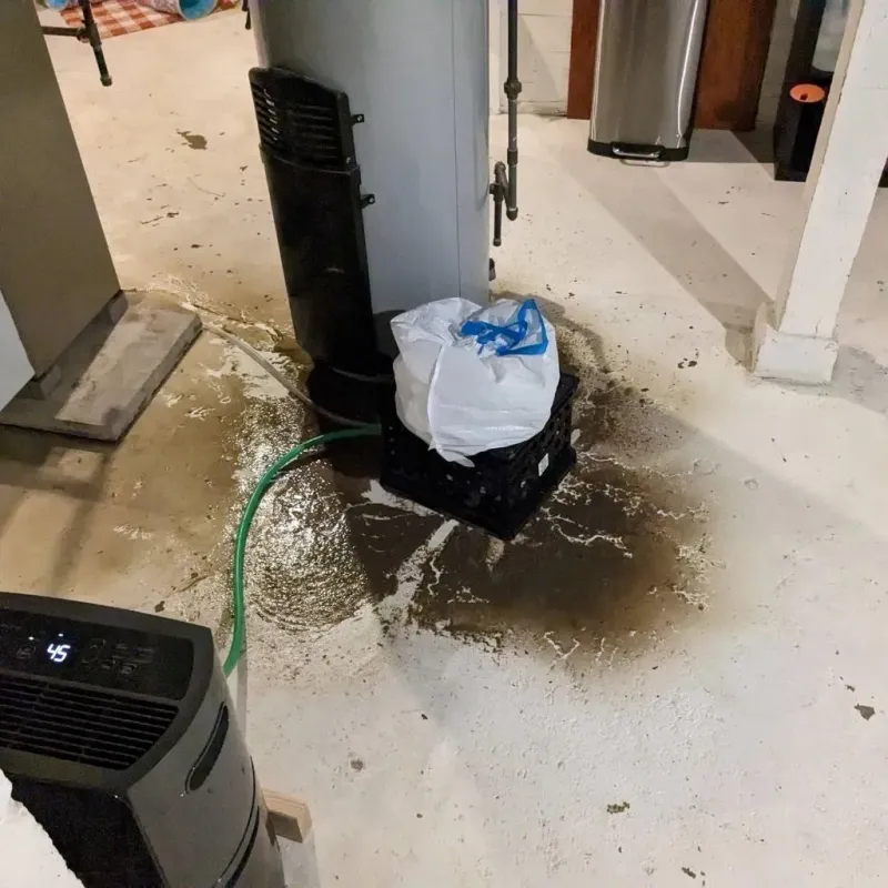 Sewage Backup Cleanup Service in King City, MO